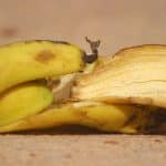 Buccia di banana con aceto e limone: quali benefici